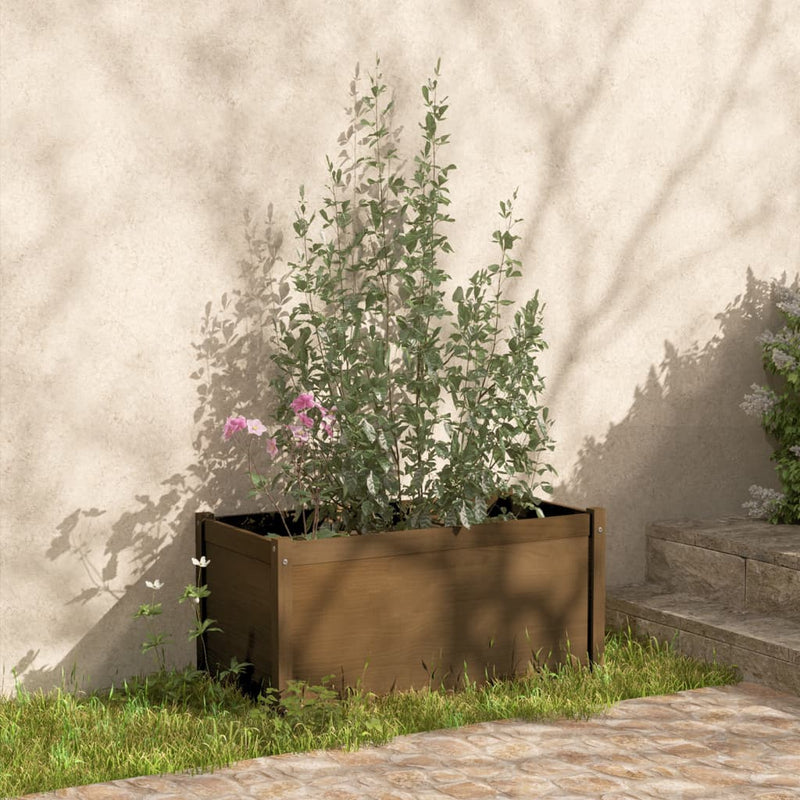 Load image into Gallery viewer, VidaXL Plantenbakken 2 st 100x50x50 cm massief grenenhout honingbruin
