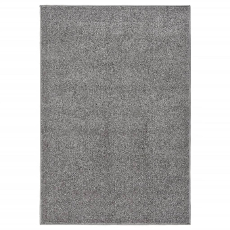 Load image into Gallery viewer, VidaXL Vloerkleed kortpolig 200x290 cm grijs
