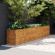 Vidaxl verhoogde tuinbak 385x50x69 cm cortenstaal