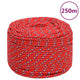 Vidaxl boottouw 6 mm 250 m polypropyleen rood