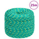 Vidaxl boottouw 6 mm 25 m polypropyleen groen