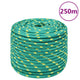Vidaxl boottouw 14 mm 250 m polypropyleen groen