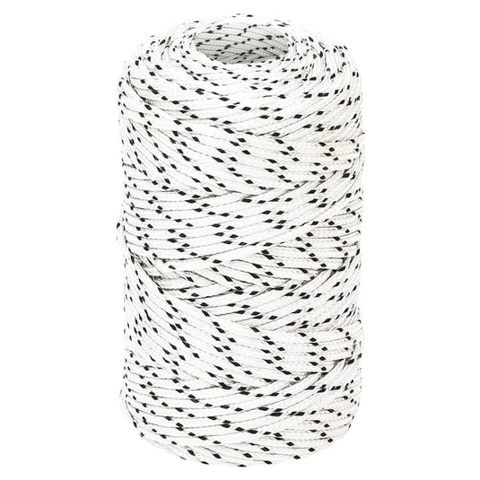 Vidaxl boottouw gevlochten 2 mmx100 m polyester wit