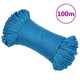Vidaxl werktouw 6 mm 100 m polypropeen blauw