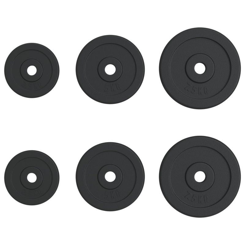 Load image into Gallery viewer, VidaXL Halterschijven 6 st 30 kg gietijzer
