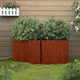 Vidaxl plantenbakken 2 st 42x40x39 cm cortenstaal