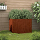 Vidaxl plantenbak 62x47x46 cm cortenstaal