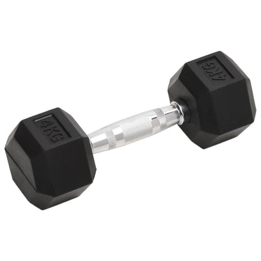 Vidaxl halters 2 st 8 kg totaal gietijzer