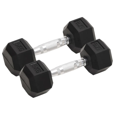 Vidaxl halters 2 st 10 kg totaal gietijzer