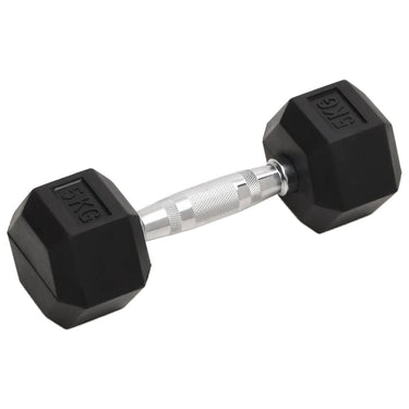 Vidaxl halters 2 st 10 kg totaal gietijzer