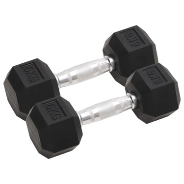 Vidaxl halters 2 st 12 kg totaal gietijzer