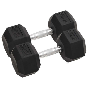 Vidaxl halters 2 st 20 kg totaal gietijzer