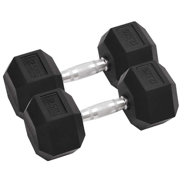 Vidaxl halters 2 st 25 kg totaal gietijzer