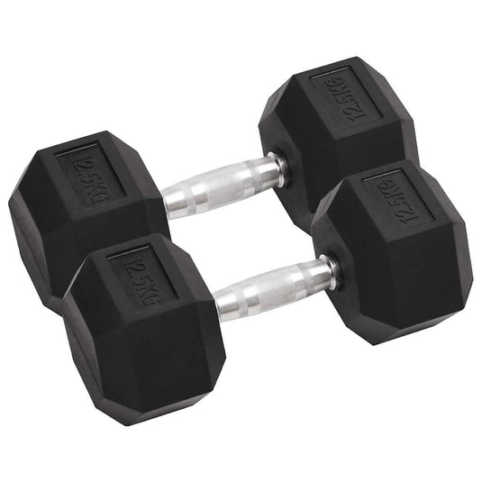 Vidaxl halters 2 st 25 kg totaal gietijzer