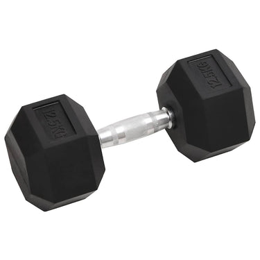 Vidaxl halters 2 st 25 kg totaal gietijzer