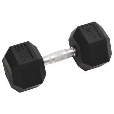 Vidaxl halters 17,5 kg gietijzer