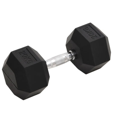 Vidaxl halters 20 kg gietijzer