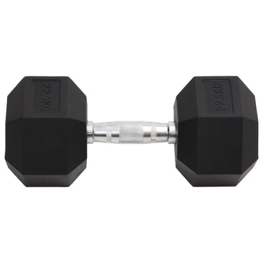 Vidaxl halters 22,5 kg gietijzer