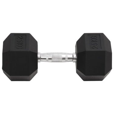 Vidaxl halters 25 kg gietijzer