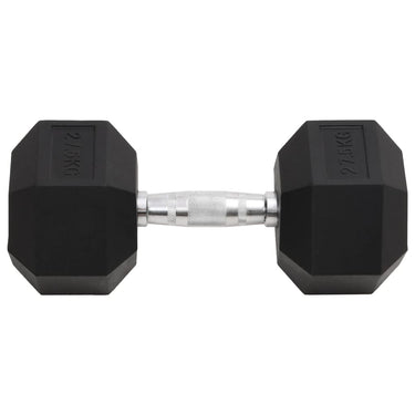 Vidaxl halters 27,5 kg gietijzer