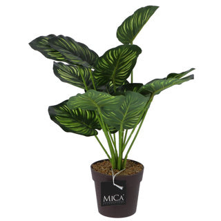 Mica decorations kunstplant calathea in pot groen 40 cm