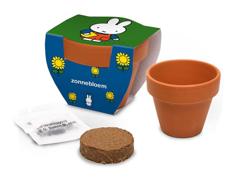 Load image into Gallery viewer, Nijntje terracota pot zonnebloem.
