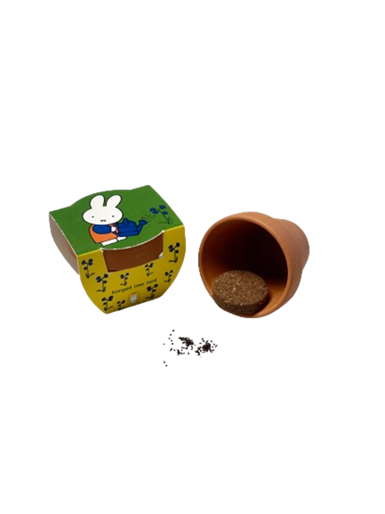 Load image into Gallery viewer, Nijntje terracota pot vergeet mij niet.

