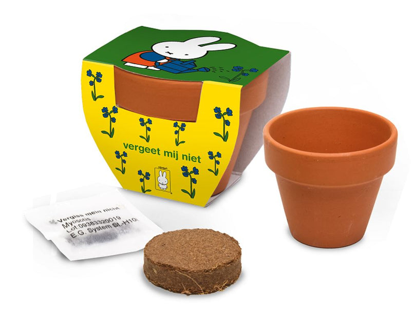 Load image into Gallery viewer, Nijntje terracota pot vergeet mij niet.
