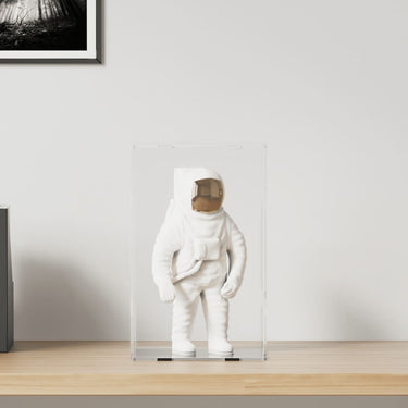 Vidaxl displaybox transparant 22x18x35 cm acryl