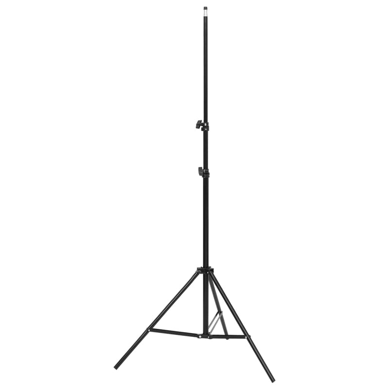 Load image into Gallery viewer, VidaXL Fotostudioset met lichtset, achtergrondscherm en reflector
