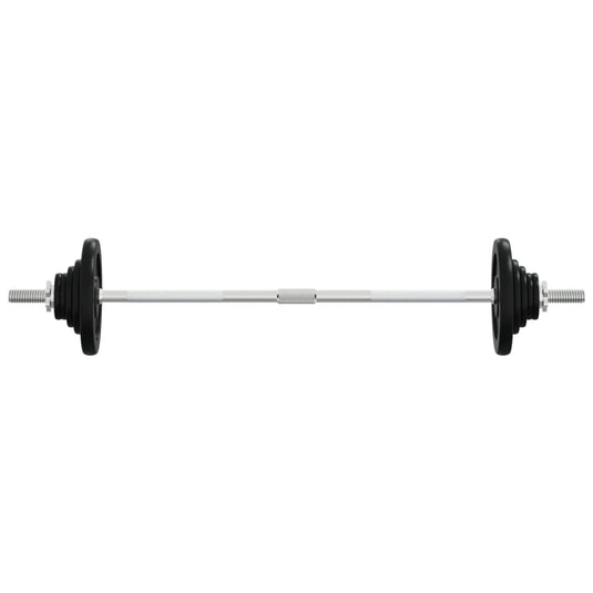 VidaXL Halter met gewichten 60 kg gietijzer