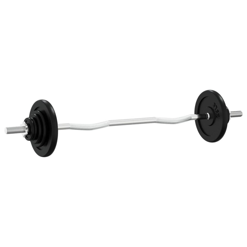 Load image into Gallery viewer, VidaXL Halter met gewichten 60 kg gietijzer en verchroomd staal
