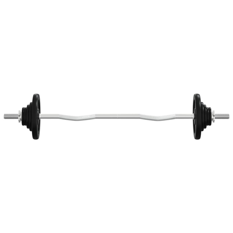 Load image into Gallery viewer, VidaXL Halter met gewichten 60 kg gietijzer en verchroomd staal
