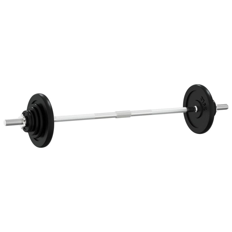 Load image into Gallery viewer, VidaXL Halter met gewichten 90 kg gietijzer
