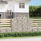 VidaXL Schanskorven 5 st gewelfd 200x50x160 180 cm ijzer
