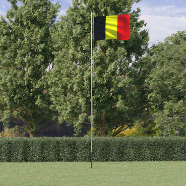 Vidaxl vlag met vlaggenmast belgië 6,08 m aluminium