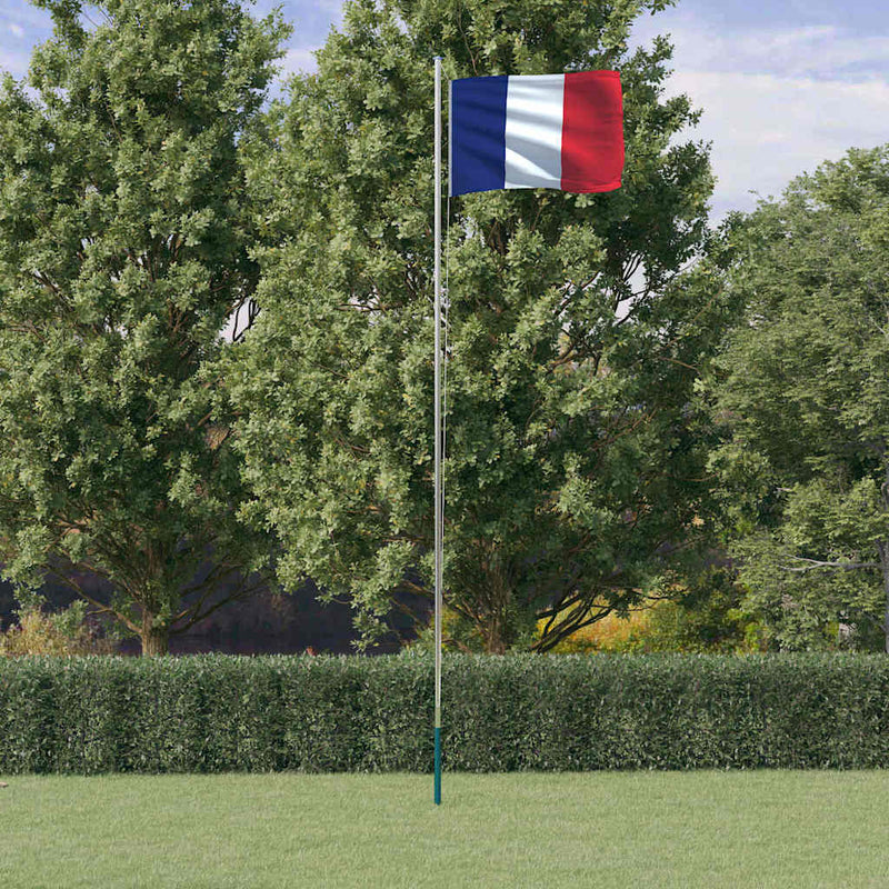 Load image into Gallery viewer, VidaXL Vlag met vlaggenmast Frankrijk 6,23 m aluminium
