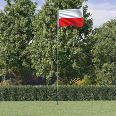 Vidaxl vlag met vlaggenmast polen 6,08 m aluminium