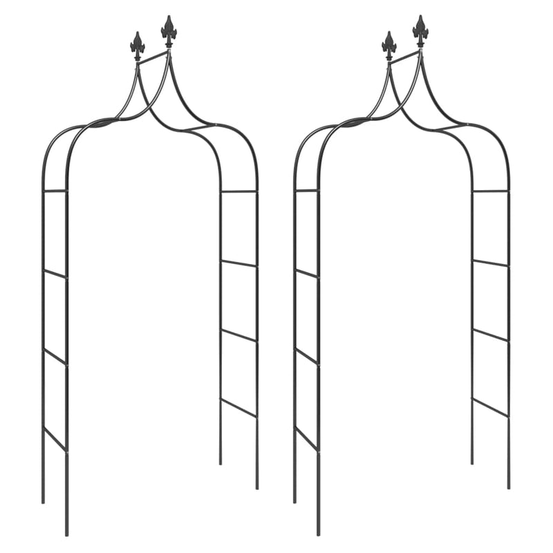 Load image into Gallery viewer, Vidaxl tuinbogen 2 st 120x38x260 cm staal zwart
