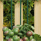 Vidaxl plantenstaken 30 st 180 cm staal groen