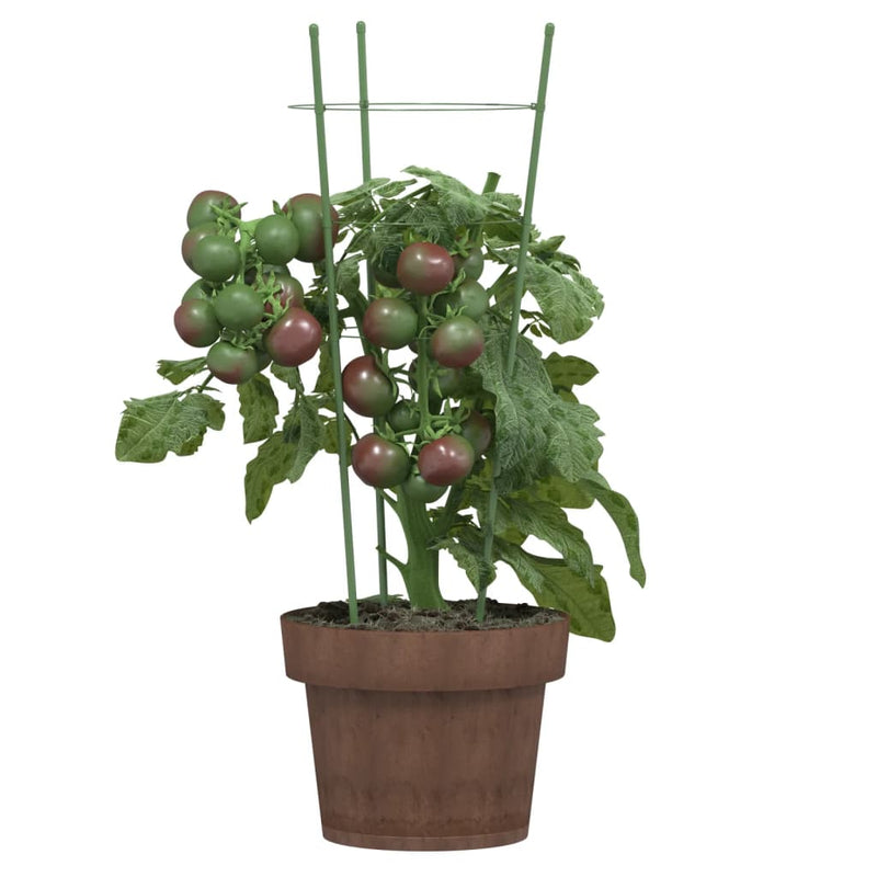Load image into Gallery viewer, Vidaxl plantensteunen 5 st met 3 ringen 45 cm staal groen

