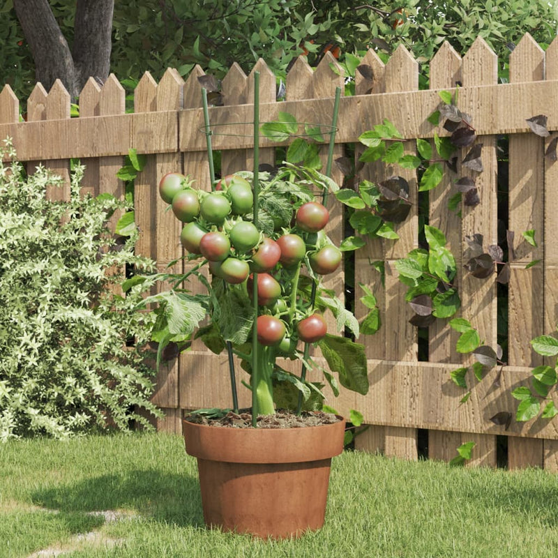 Load image into Gallery viewer, Vidaxl plantensteunen 5 st met 3 ringen 45 cm staal groen
