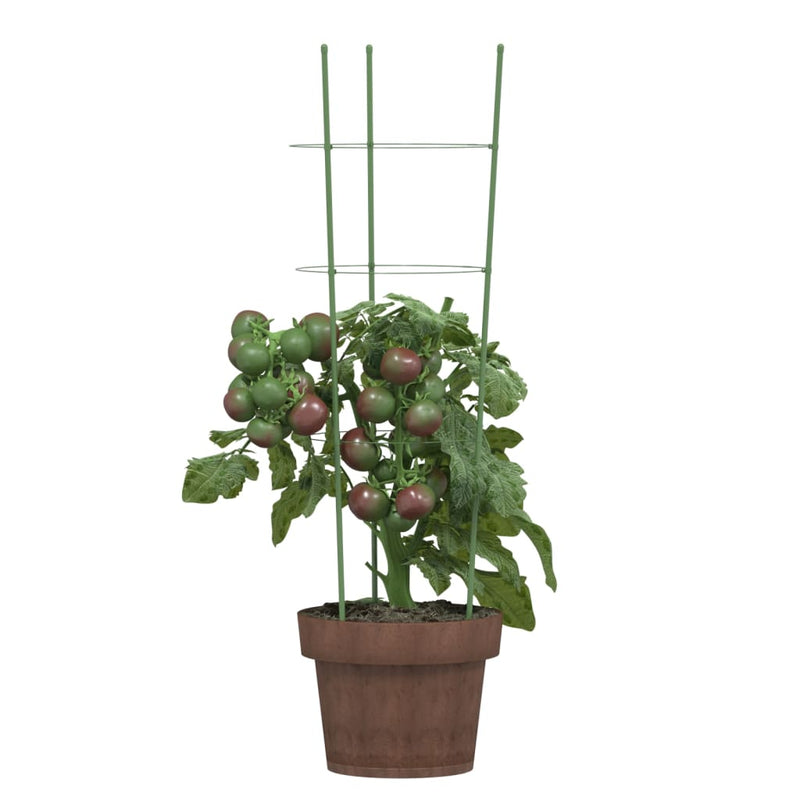 Load image into Gallery viewer, Vidaxl plantensteunen 5 st met 3 ringen 60 cm staal groen
