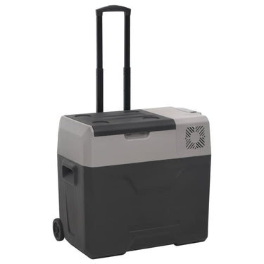 Vidaxl koelbox met wielen en handvat 30 l polypropeen zwart en grijs