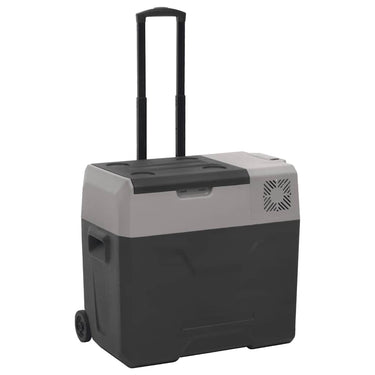 Vidaxl koelbox met wielen en handvat 40 l polypropeen zwart en grijs