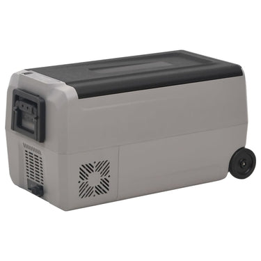 Vidaxl koelbox met wielen en handvat 50 l polypropeen zwart en grijs