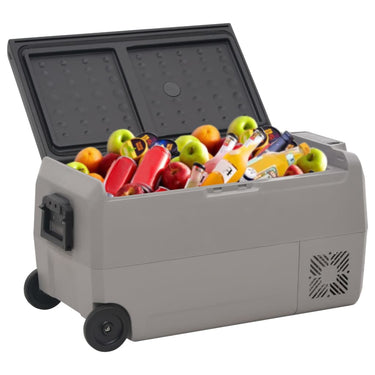 Vidaxl koelbox met wielen en handvat 50 l polypropeen zwart en grijs