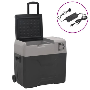 Vidaxl koelbox met wielen en adapter 30 l polypropeen zwart en grijs
