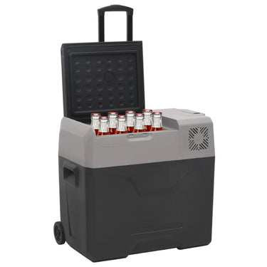 Vidaxl koelbox met wielen en adapter 30 l polypropeen zwart en grijs