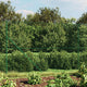 VidaXL Gaashek met flens 1,4x25 m groen